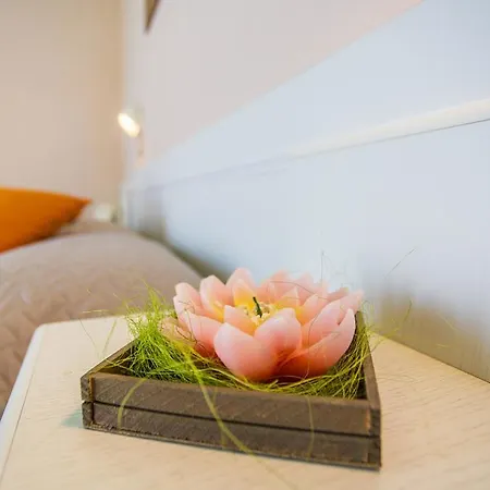 Hotel Barca D'oro 3*