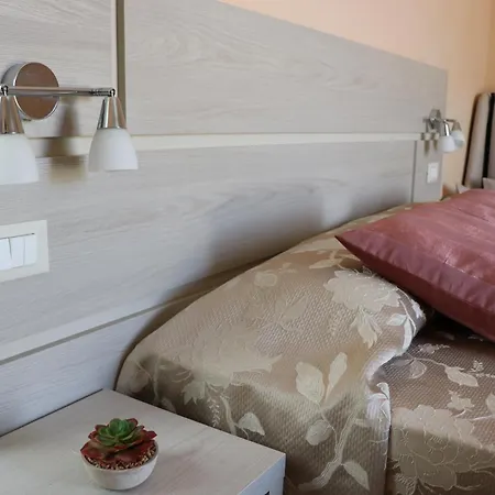 Отель Barca D'oro 3*