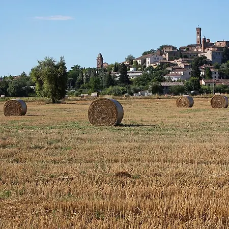 Barca D'oro ホテル 3*