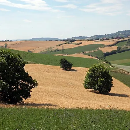 Barca D'oro Hotel Bellaria-Igea Marina
