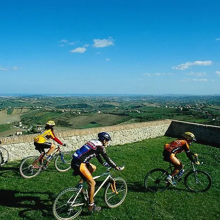 Barca D'oro ベラーリア・イジェア・マリーナ