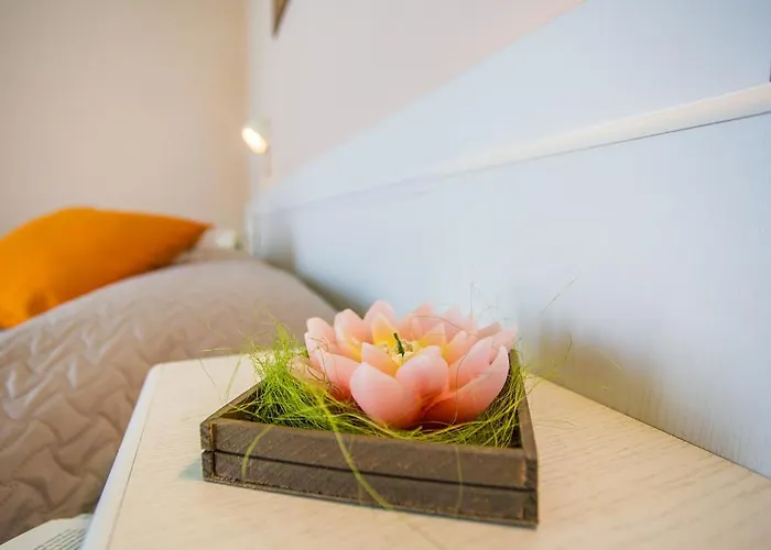 Hotel Barca D'oro 3*