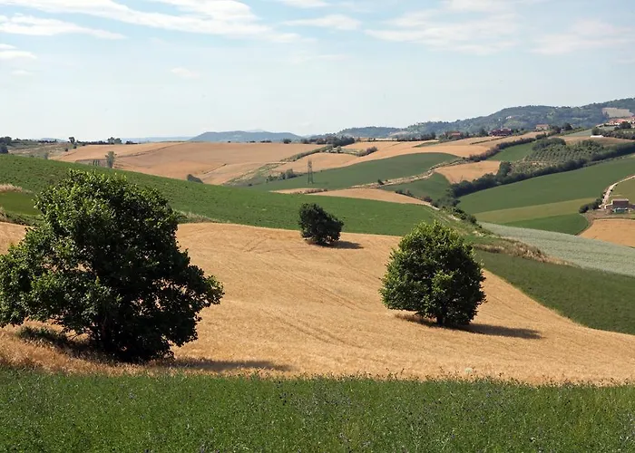 Barca D'oro فندق بيلاريا-إيجيا مارينا