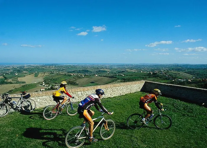 Barca D'oro Bellaria-Igea Marina